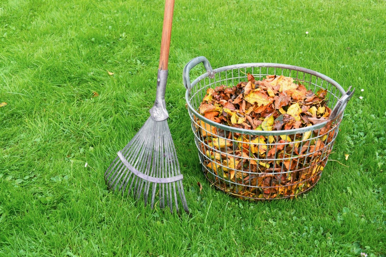 Bij tuinonderhoud in Amersfoort wordt het tuinafval